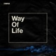 Way of Life feat BES EP