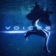 Voices Single