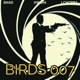 Birds 007 feat Owdhi LChoppa Single