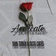 Ace rcate Single
