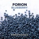 Blueberry Single