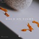 Hold on Tight Single