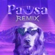 Pausa Remix Single