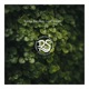 Lost Dream Single