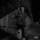 Silenzio Single