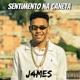 Sentimento na Caneta Single