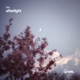 afterlight Single