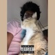 Mortal Kombat Single