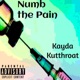 Numb the Pain Single