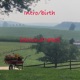 Intro Birth 2nd Take Single