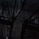 COVEN feat catgif zoos quixi noraware Single