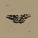 Metamorph Single