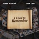 I Used to Remember Single