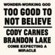 Too Good To Not Believe Single