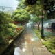 Rain Single