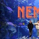 Nemo feat Yxngkvden Single