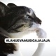 LANUEVAMUSICAJAJAJA