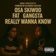 Really wanna know feat Fat Gangsta Single