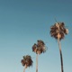 Summer Break Single