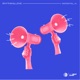 Rhythm Love Single