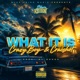 What It Is feat Cracshot Single