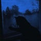 cats never die Single