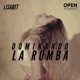 Dominando La Rumba feat Lisabet Single