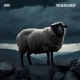 The Black Sheep Single