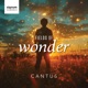 Fields of Wonder