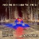 Pushing Through the Pines Single