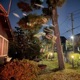 Apricity Boy Omega Remix Single