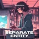 Separate Entity Single
