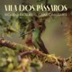 Vila Dos Pássaros Single