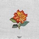 Softly Burn Single