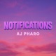 Notifications Single