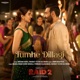 Tumhe Dillagi From Raid 2 Single