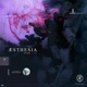 Aesthesia Vol 2
