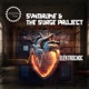 Elektrochoc Single