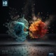 Black Hole Heavy Dark Matter Single