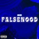 Falsehood Single
