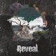 Reveal feat We Are PIGS Single