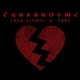 Cansándome feat Abru Ocampo Single