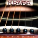 Cuerdas Acústico