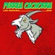 Perrea Cachorra Single