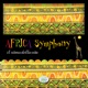 Africa Symphony il ritmo della vita feat Francesco Sguazzabia