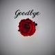 Goodbye feat Emma Zettervall Single