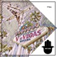 V to Vegas Single