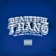 Beautiful Thang feat WELL DONE Hetauchi Remix Single