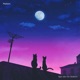 Light After the Darkness Single