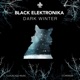 Dark Winter Single